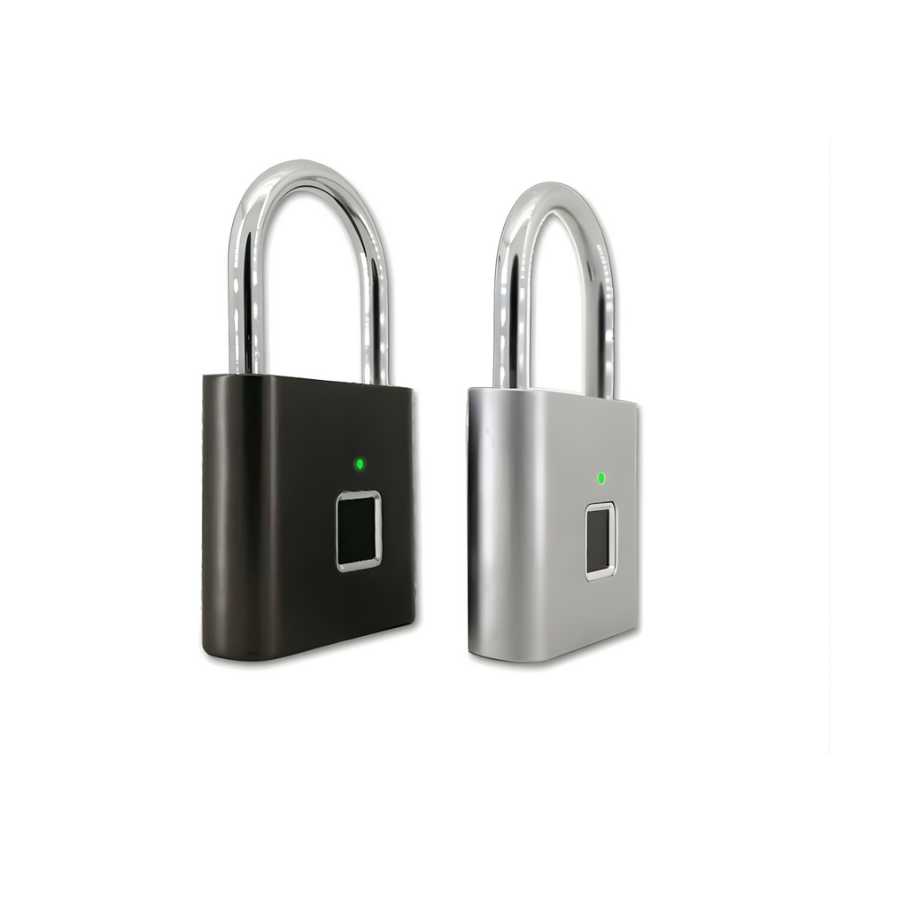 Biometric security lock