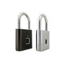 Biometric security lock